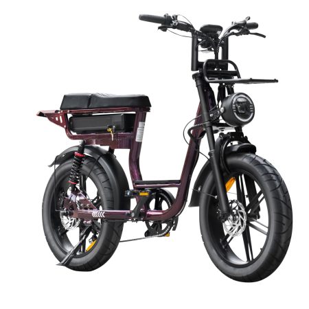 Fatbike V20 Pro – Comfort – Lage instap – Paars