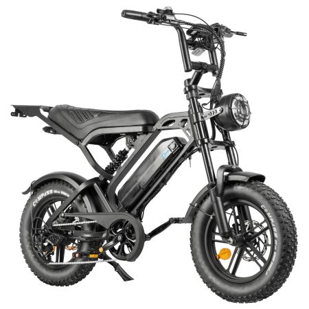 V20 Pro Mini Fatbike – Zwart – Ringslot