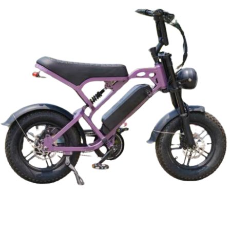 V20 Pro Mini Fatbike – Paars