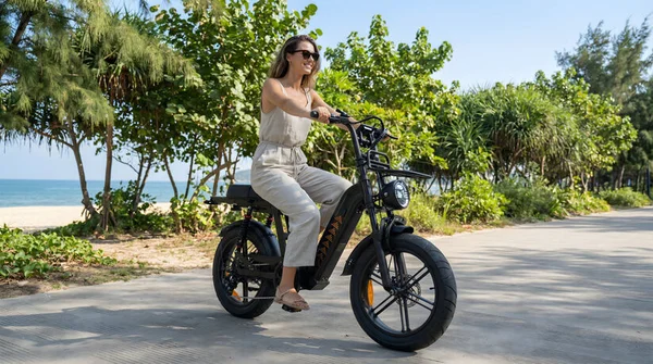 D50 Fatbike - Lage Instap - Afbeelding 21
